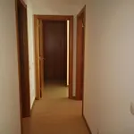 Rocha Prime C Портиман